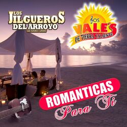 Cover of Románticas Para Ti
