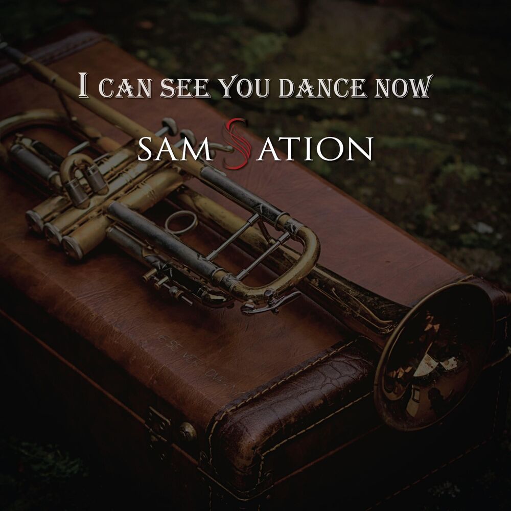 Picture of I Can See You Dance Now