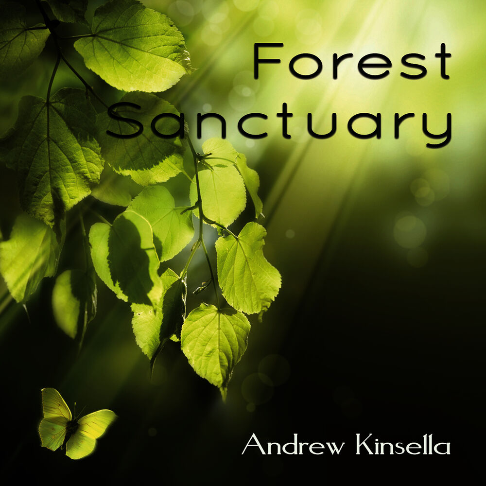 Picture of Forest Sanctuary