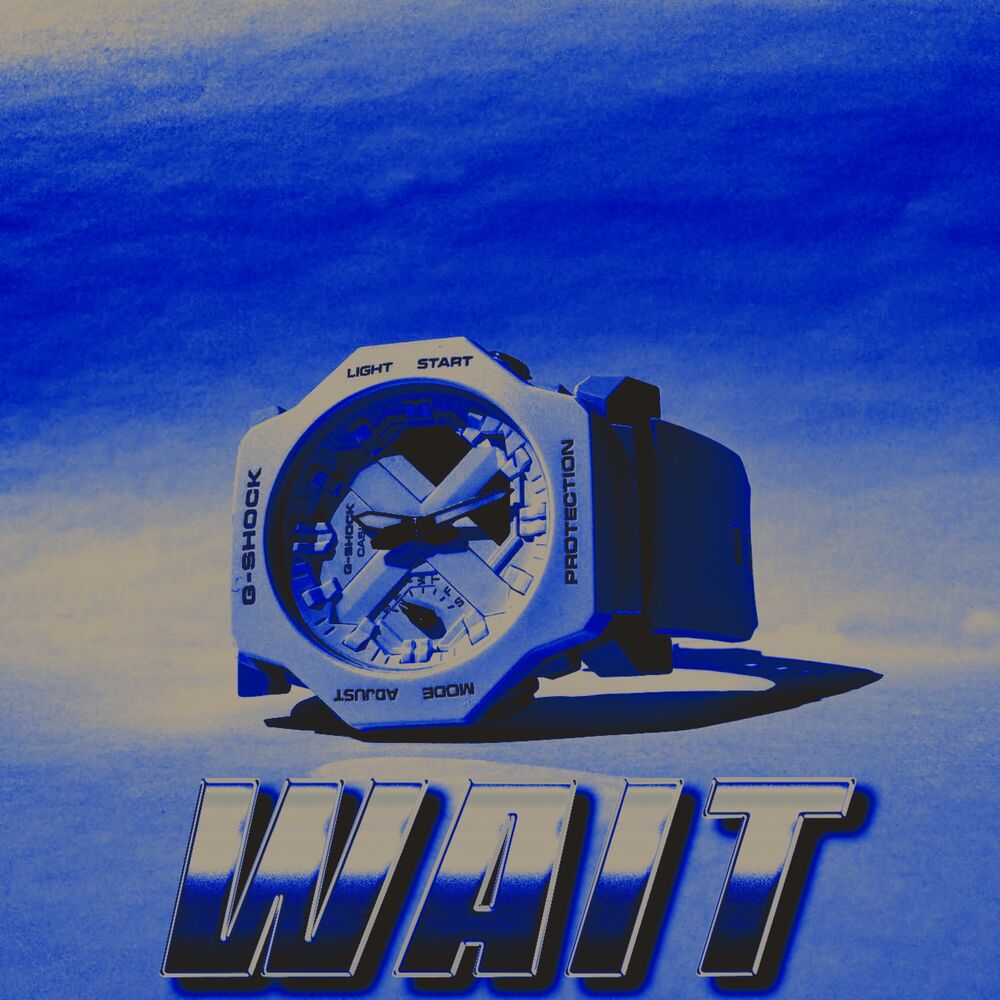Picture of WAIT