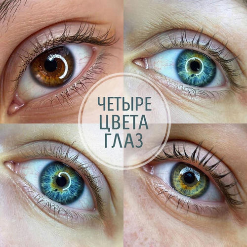 Четыре цвета глаз