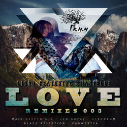 Cover of Love Remixes 003