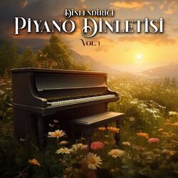 Cover of Dinlendirici Piyano Dinletisi, Vol. 1 (Enstrümantal)