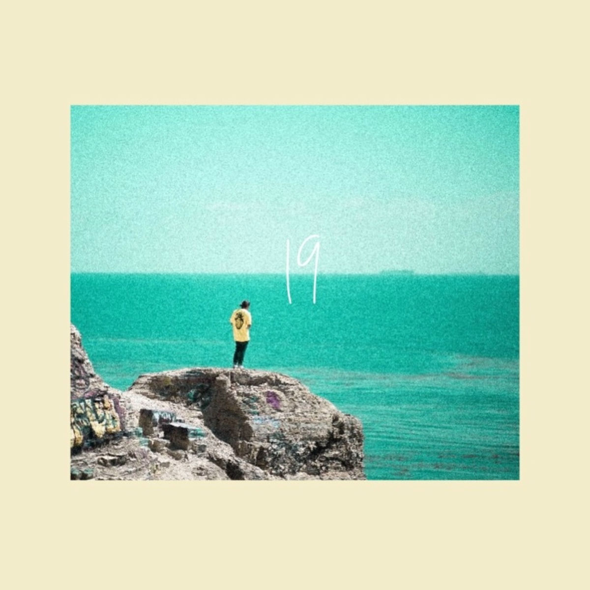 Album cover of 19