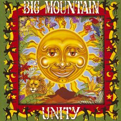 Cover of Unity