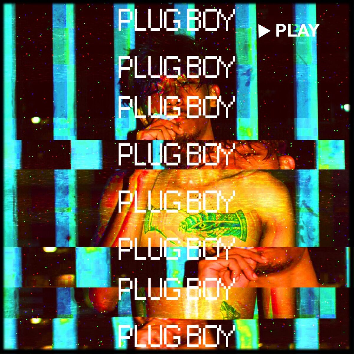 Album cover of Plug Boy