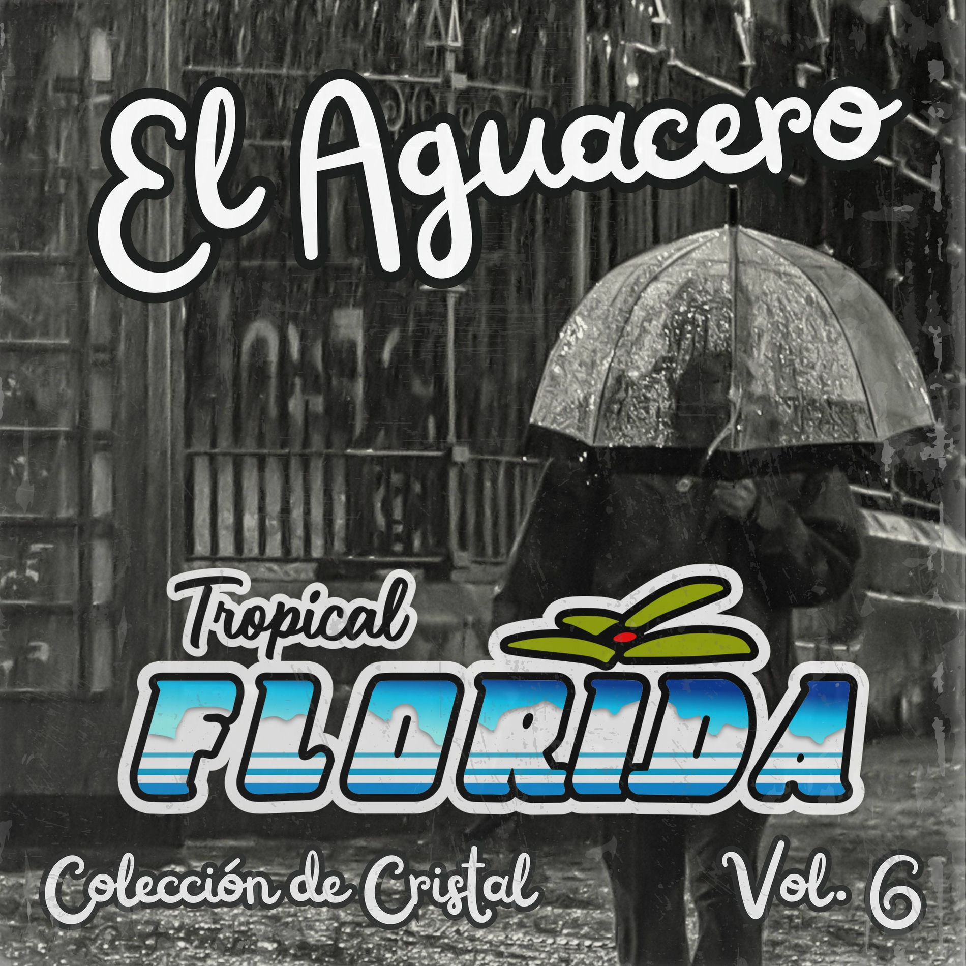 Album cover of El Aguacero (Colección de Cristal Vol. 6)