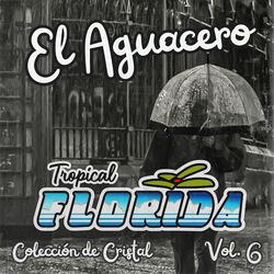 El Aguacero (Colección de Cristal Vol. 6)