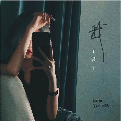 我不爱了