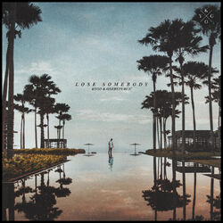 Cover of Lose Somebody
