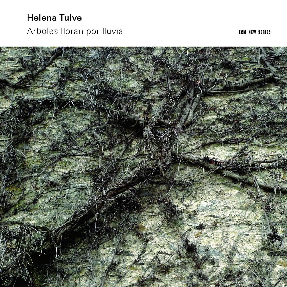 Album cover of Helena Tulve: Arboles lloran por lluvia
