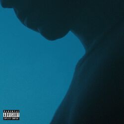 Cover of Why