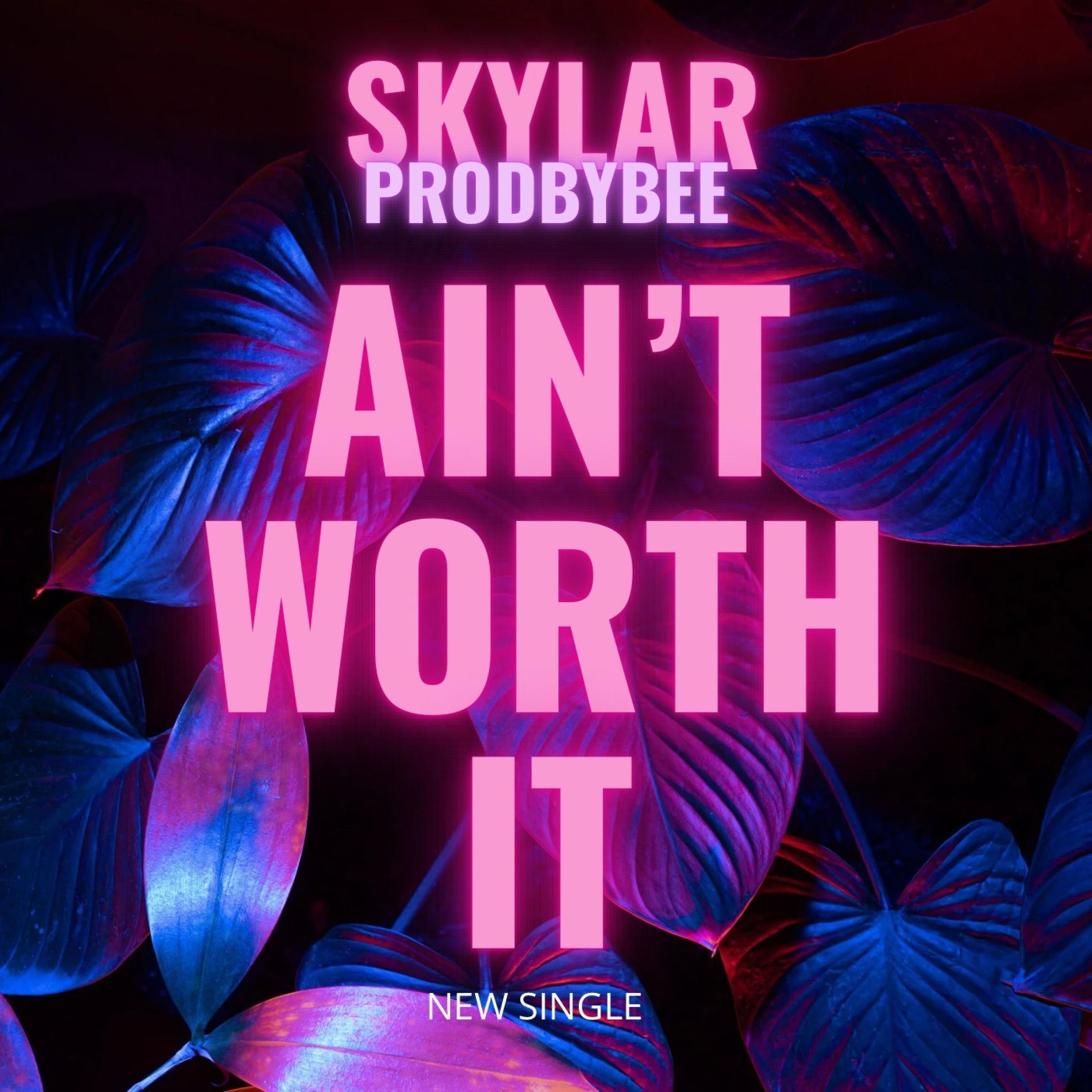 Album cover of Ain't worth it (feat. Skylar)