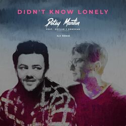Cover of Didn't Know Lonely (JLV Remix)