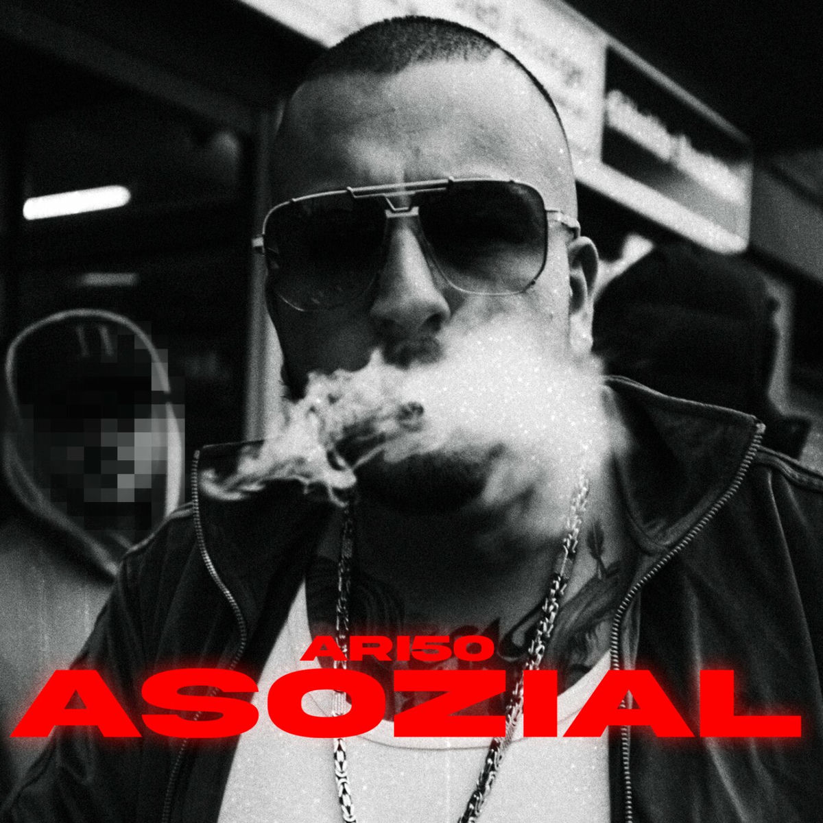 Album cover of Asozial
