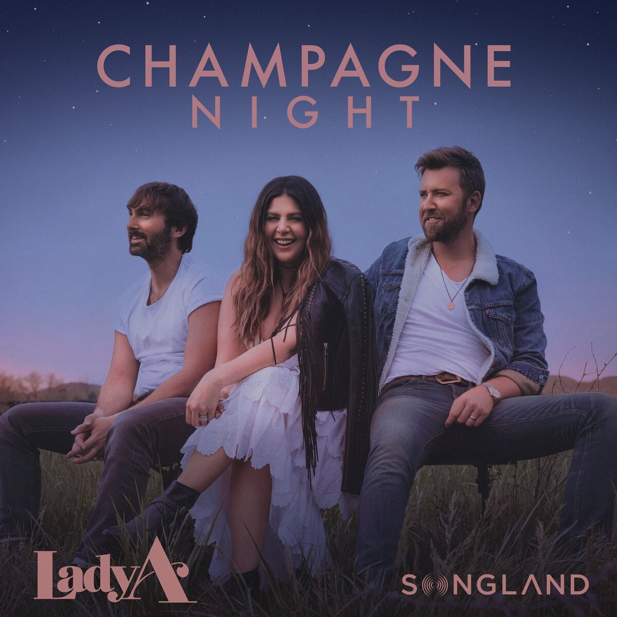 Album cover of Champagne Night