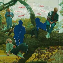 music cover