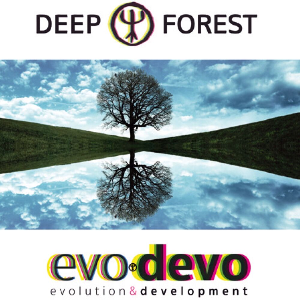 Picture of Evo Devo