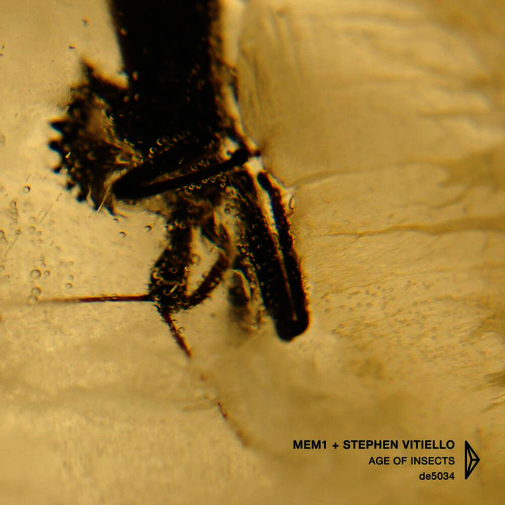 Picture of Age of Insects