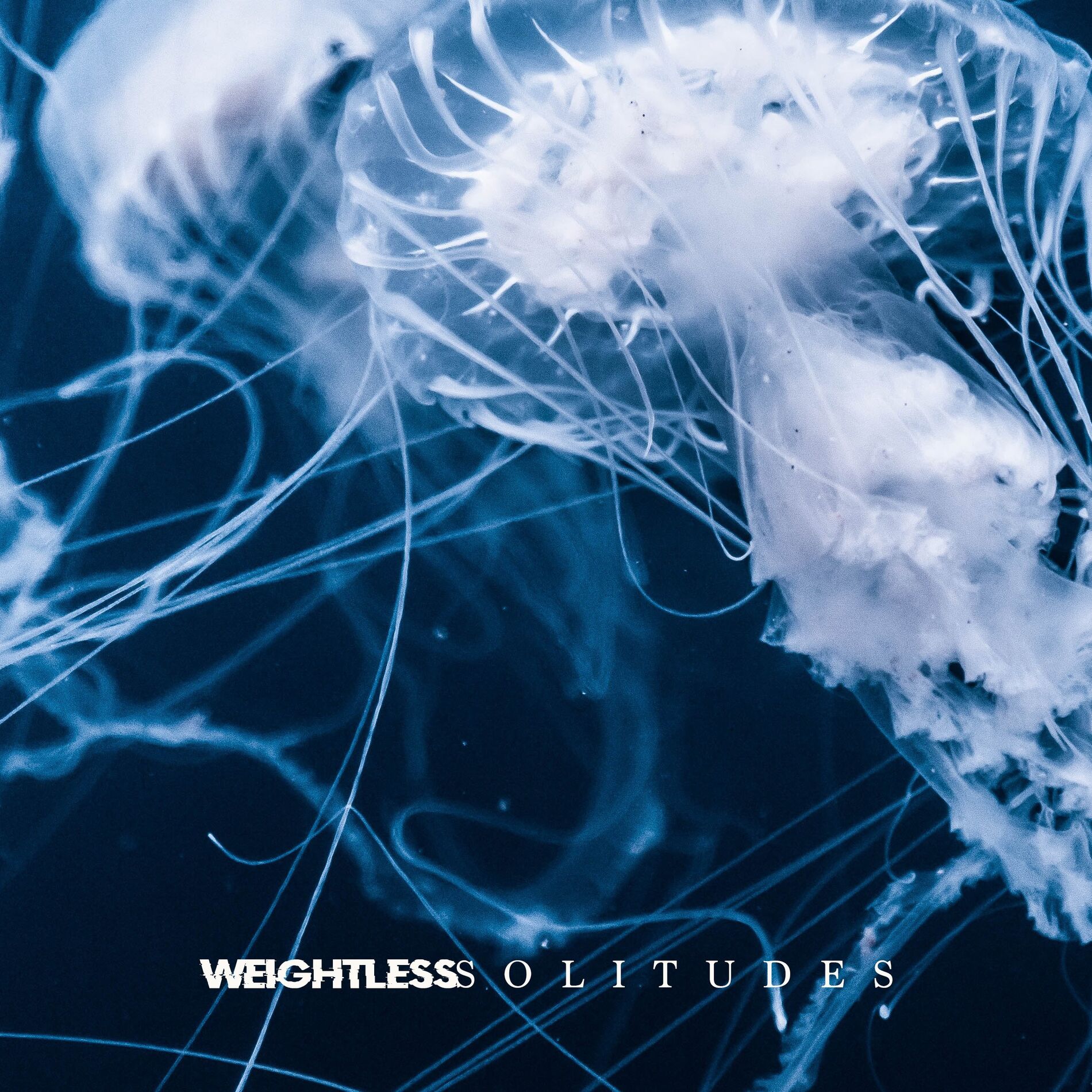 Album cover of Weightless