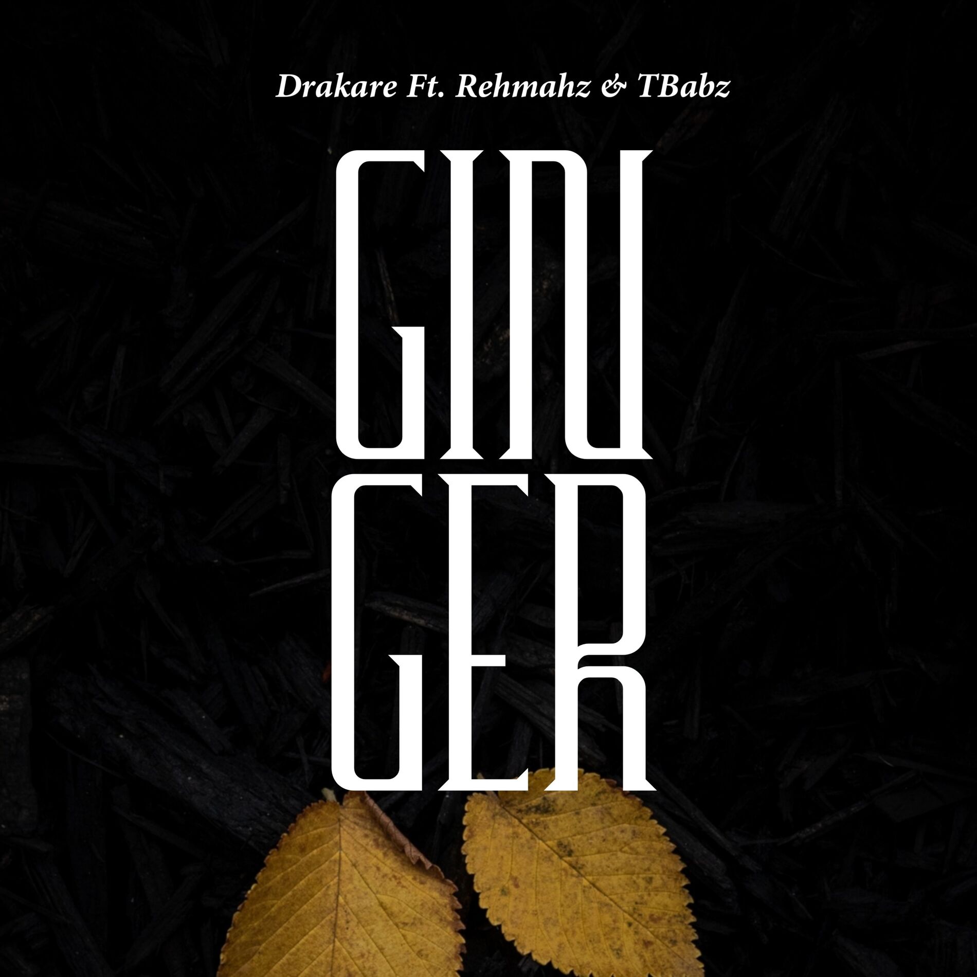 Album cover of Ginger