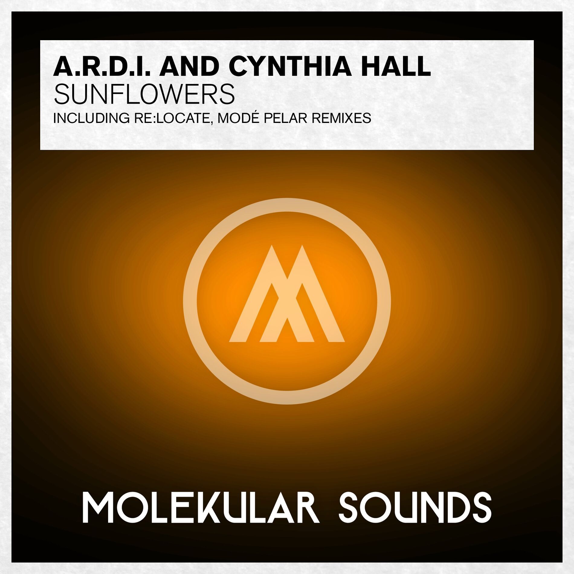 Album cover of Sunflowers