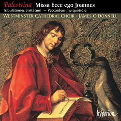 Cover of Palestrina: Missa Ecce ego Joannes & Other Sacred Music