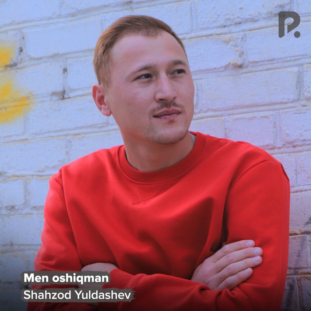 Ылғал трусиктердегі балапандардың фотосуреттері