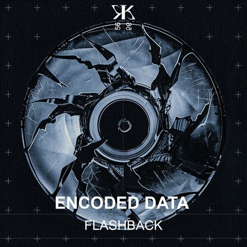  Encoded Data - Flashback (2024) 