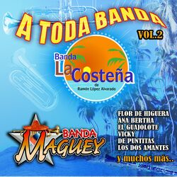 Cover of A Toda Banda Vol. 2