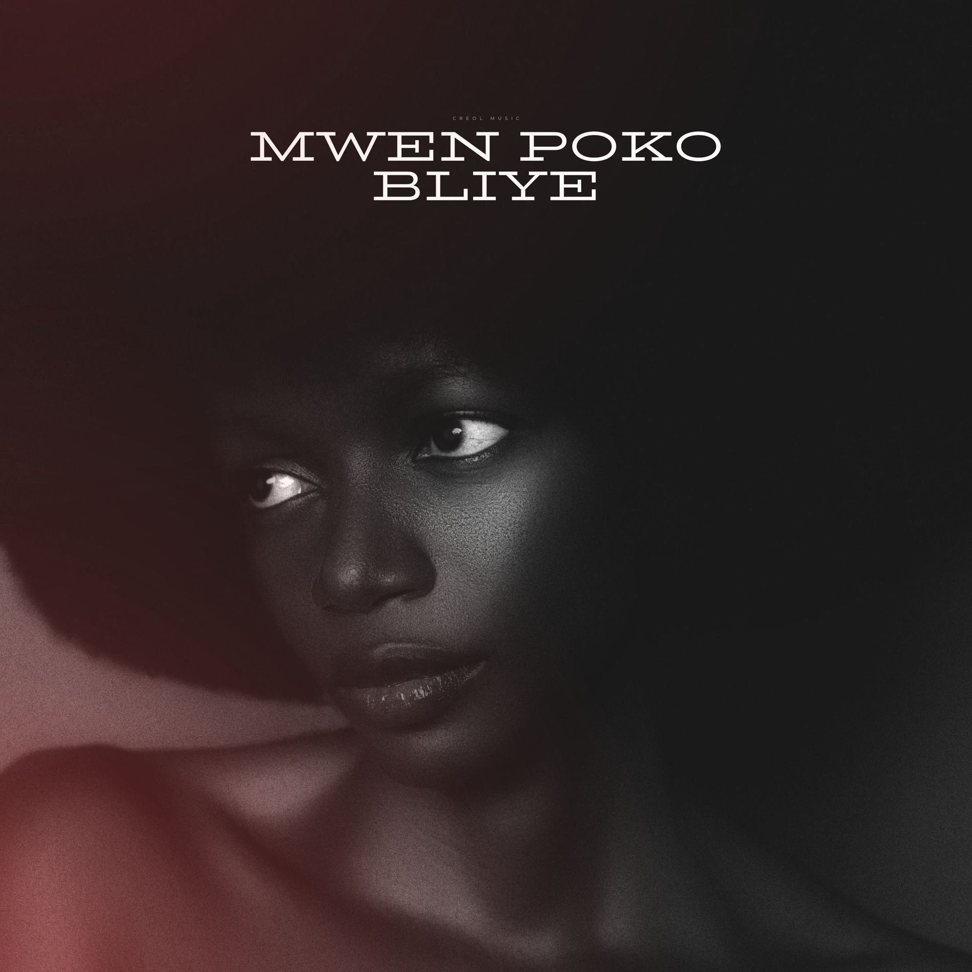 Album cover of Mwen Poko Bliye