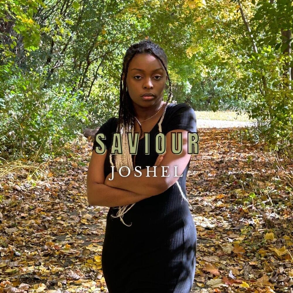 Picture of Saviour