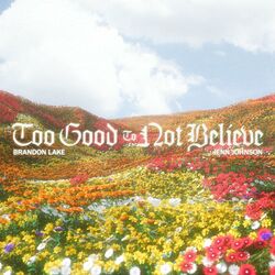 Cover of Too Good To Not Believe (Radio Version)