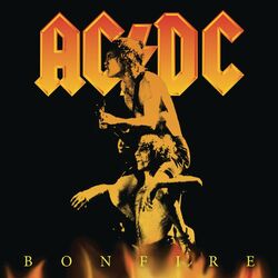 Cover of Bonfire