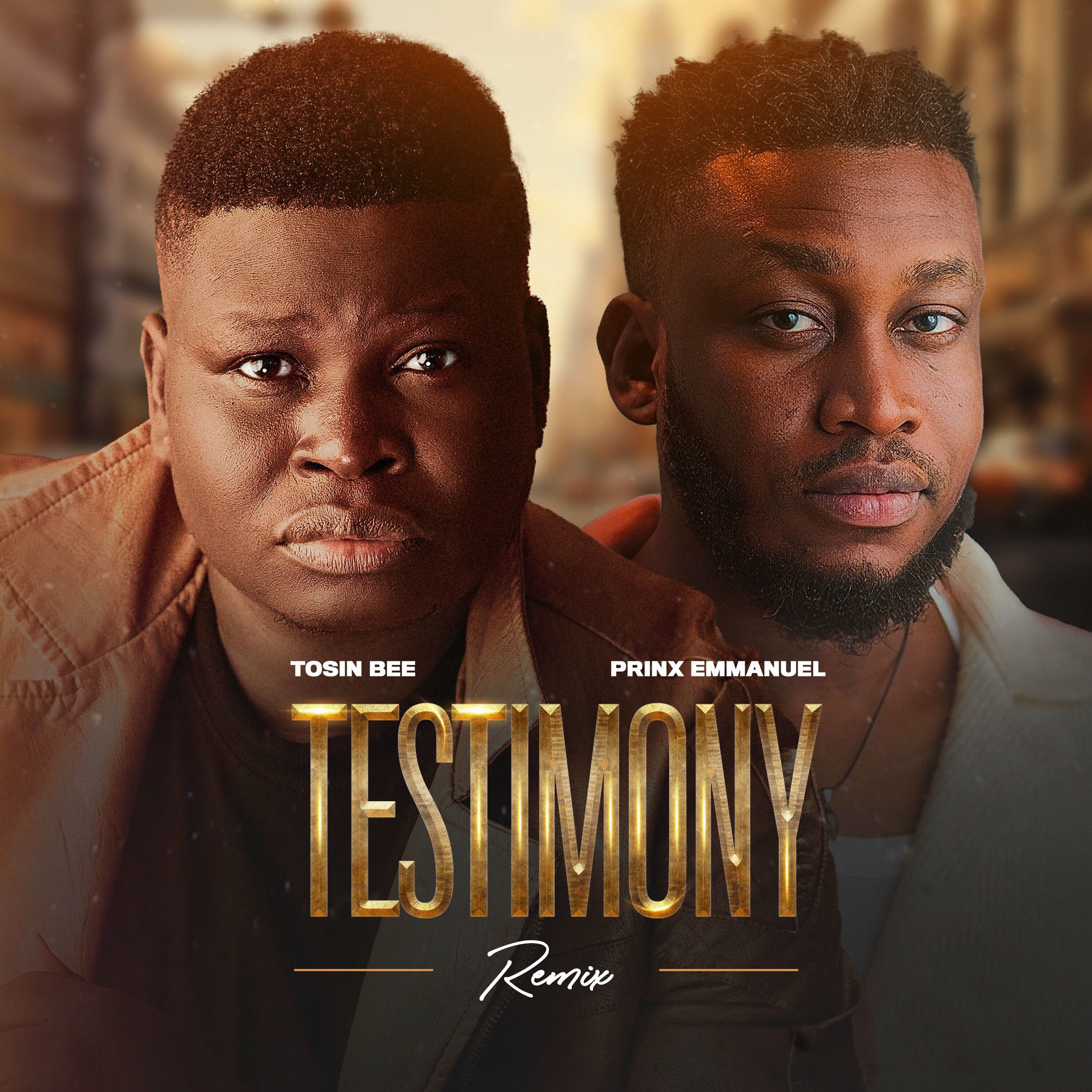 Album cover of Testimony (Remix)