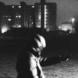 Cover of Original