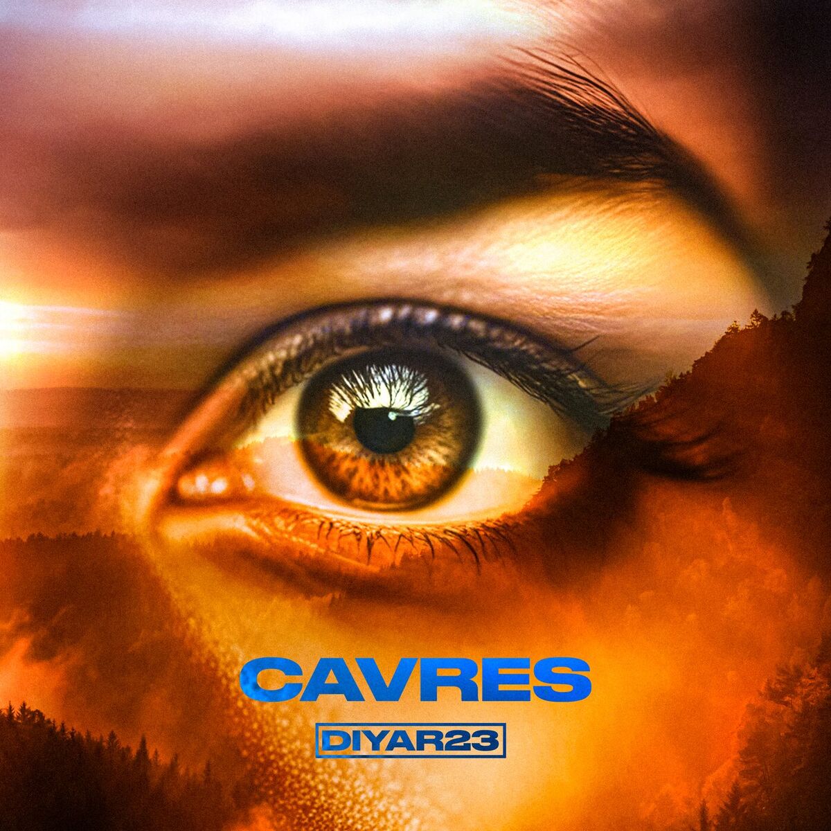 Album cover of Cavres