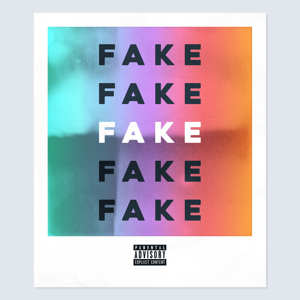 Picture of Fake