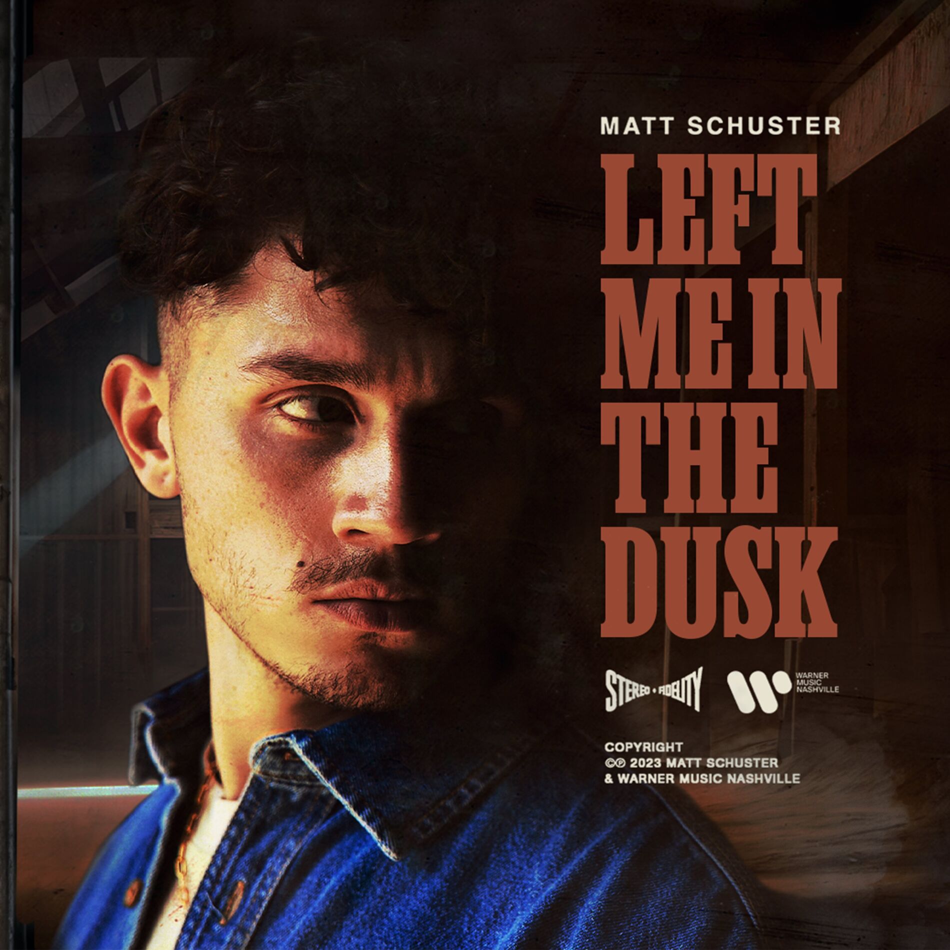Album cover of Left Me In The Dusk