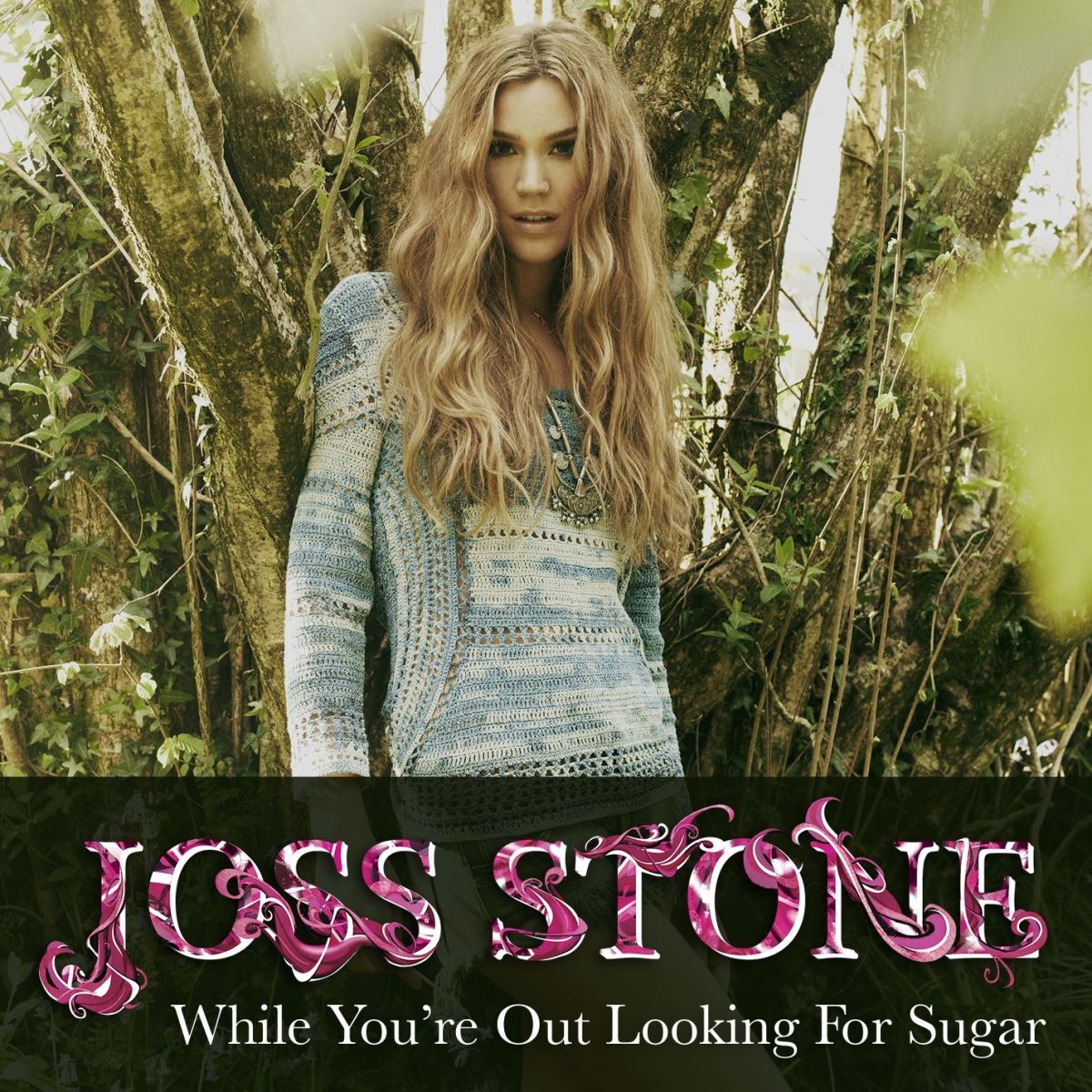 Album cover of While You're Out Looking For Sugar