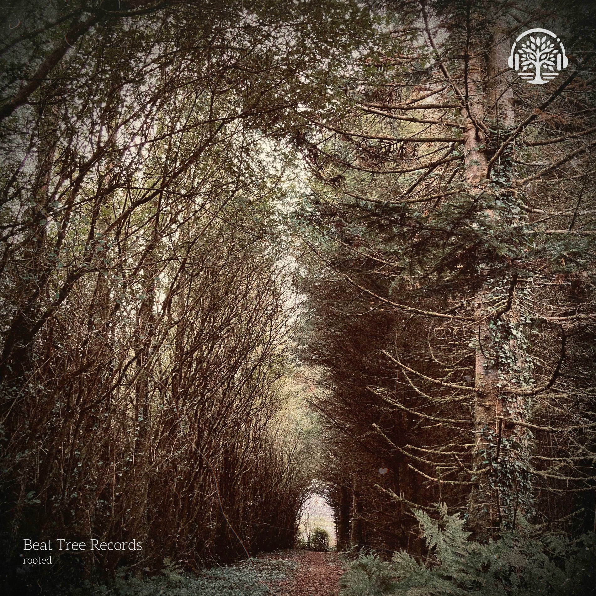 Album cover of sintra