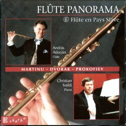 Cover of Flute Panorama