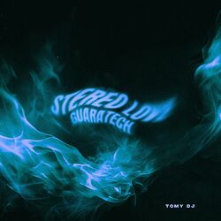 Cover of Stereo Love 2K25 (Guaratech Mix)