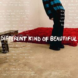 Cover of Different Kind Of Beautiful