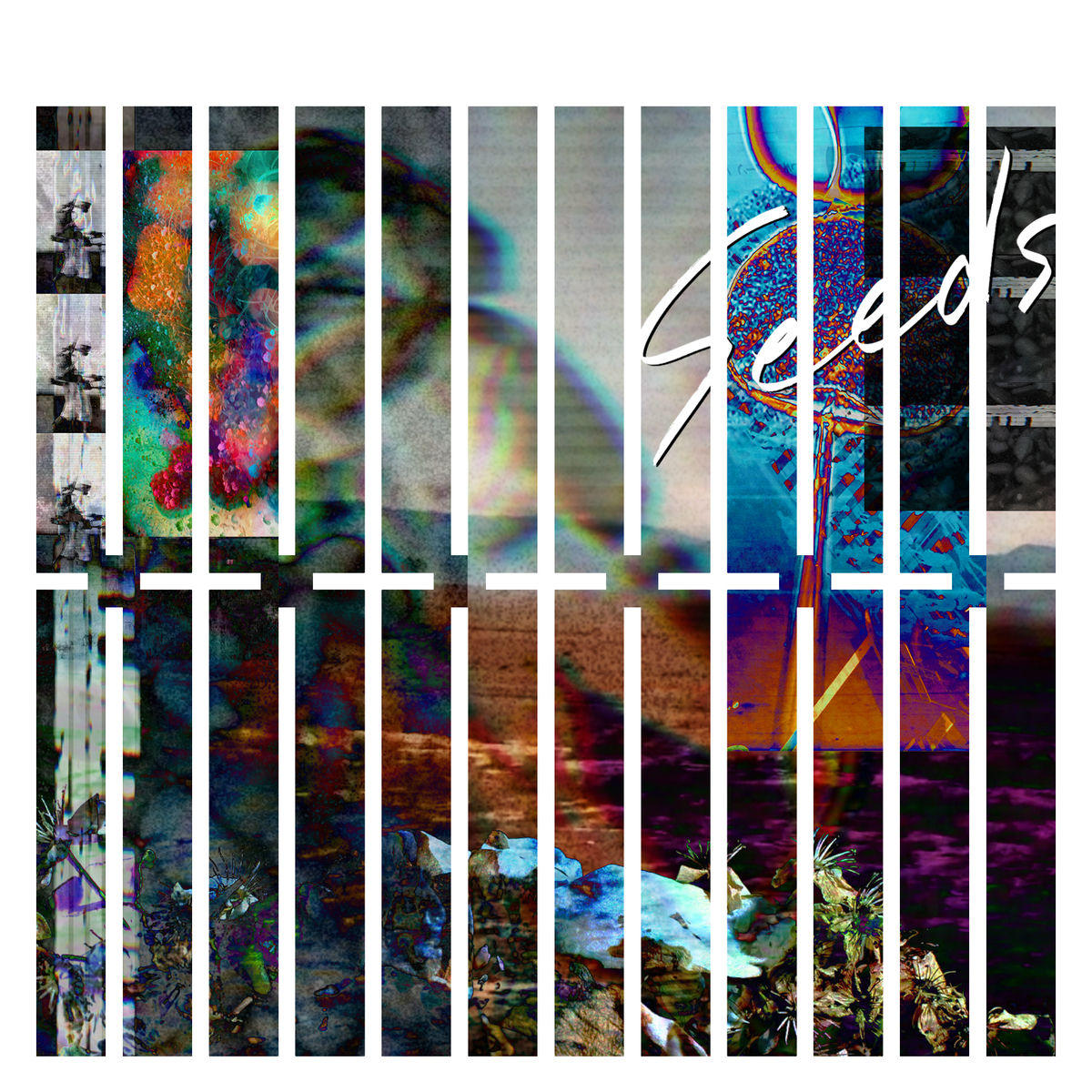 THE XXXXXX アルバム THE XXXXXX - Seeds | Deezer