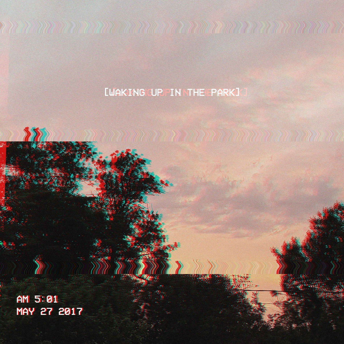 Album cover of waking up in the park