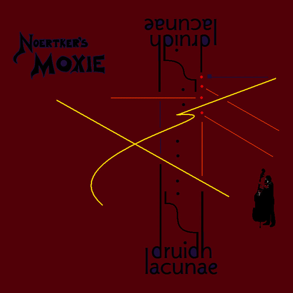 Picture of druidh lacunae