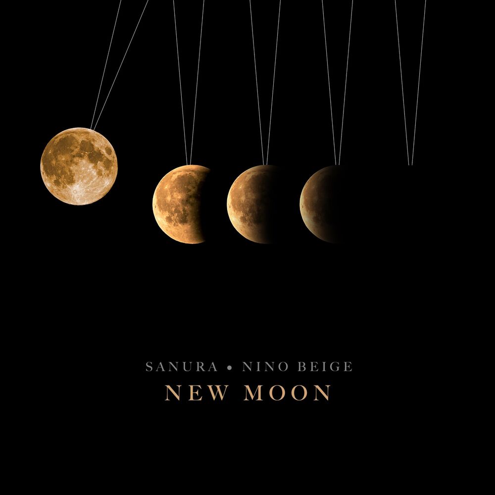 Picture of New Moon