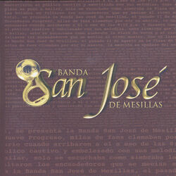 Cover of ¿En Que Te Fallé?