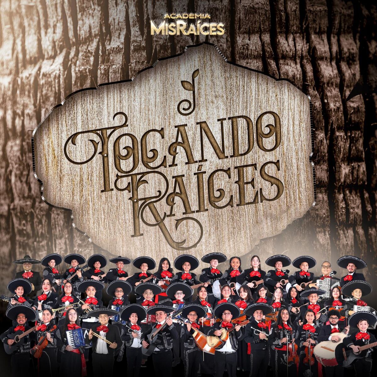 Album cover of Tocando Raíces
